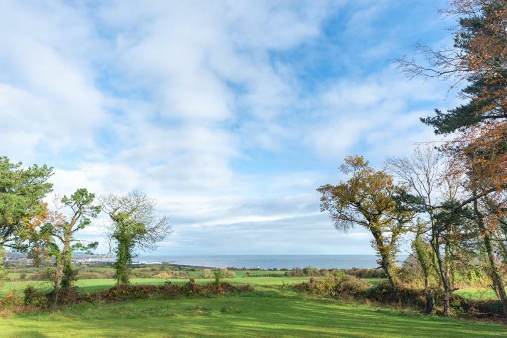 The View At Moneylands Villa Arklow Exterior photo